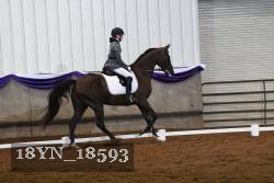 18YN_18593 thumbnail