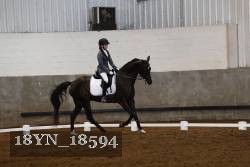 18YN_18594 thumbnail
