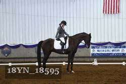 18YN_18595 thumbnail