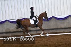 18YN_18608 thumbnail
