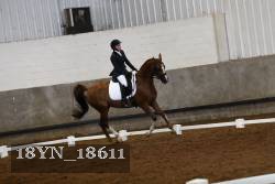 18YN_18611 thumbnail