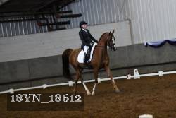 18YN_18612 thumbnail