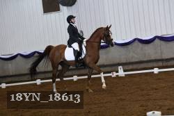 18YN_18613 thumbnail