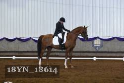 18YN_18614 thumbnail