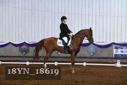 18YN_18619 thumbnail