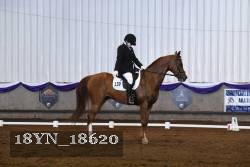 18YN_18620 thumbnail