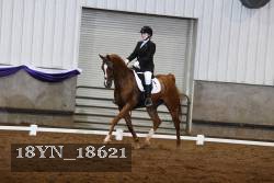 18YN_18621 thumbnail