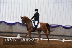 18YN_18622 thumbnail