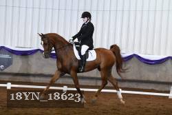 18YN_18623 thumbnail
