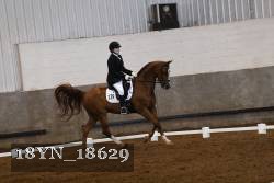 18YN_18629 thumbnail
