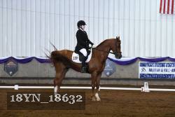 18YN_18632 thumbnail