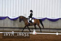 18YN_18634 thumbnail