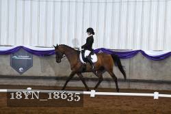 18YN_18635 thumbnail