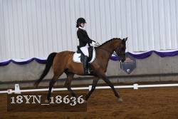 18YN_18636 thumbnail