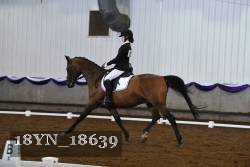 18YN_18639 thumbnail