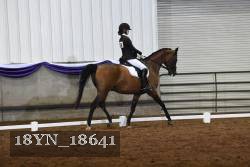 18YN_18641 thumbnail
