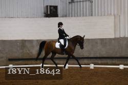 18YN_18642 thumbnail