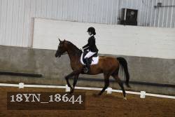 18YN_18644 thumbnail