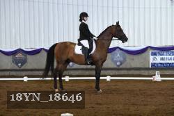 18YN_18646 thumbnail