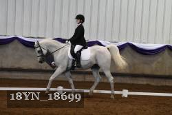 18YN_18699 thumbnail