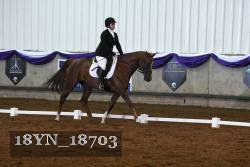 18YN_18703 thumbnail