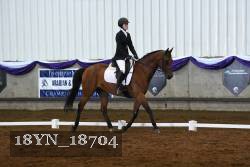 18YN_18704 thumbnail