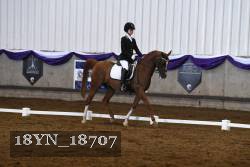 18YN_18707 thumbnail
