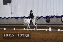 18YN_18735 thumbnail