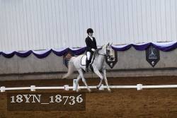 18YN_18736 thumbnail
