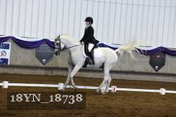 18YN_18738 thumbnail