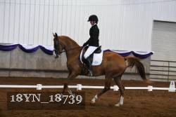 18YN_18739 thumbnail