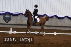 18YN_18741 thumbnail