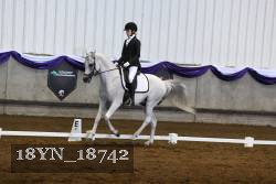 18YN_18742 thumbnail