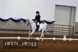 18YN_18743 thumbnail