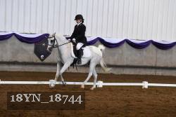 18YN_18744 thumbnail