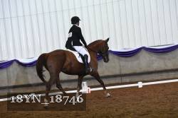 18YN_18746 thumbnail