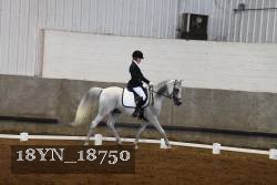 18YN_18750 thumbnail