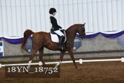 18YN_18752 thumbnail