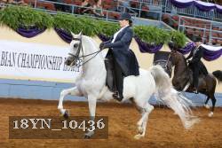 18YN_10436 thumbnail