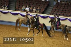18YN_10501 thumbnail