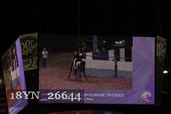 18YN_26644 thumbnail