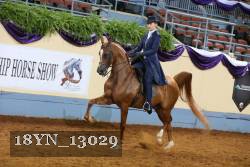18YN_13029 thumbnail
