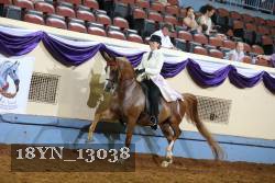18YN_13038 thumbnail