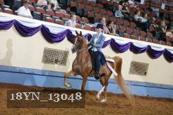 18YN_13048 thumbnail