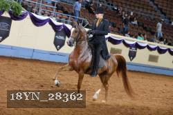 18YN_28362 thumbnail