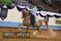 18YN_28370 thumbnail