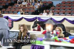 18YN_06216 thumbnail