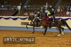 18YN_07042 thumbnail