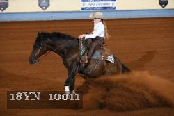 18YN_10011 thumbnail