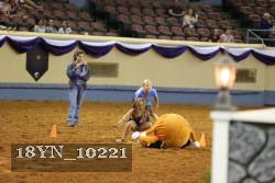 18YN_10221 thumbnail